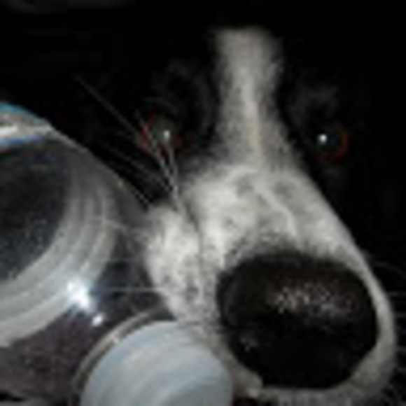 Meet your Posher, Lisa - Picture 1 of 1